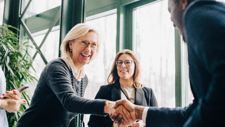 People shaking hands in office